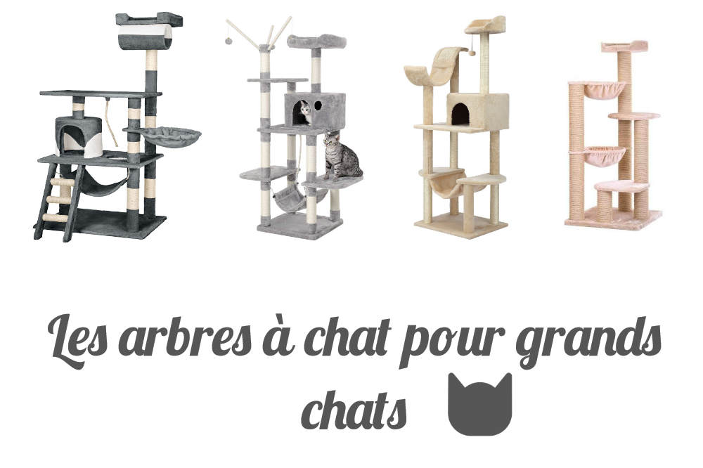 Les arbres à chat pour grands chats