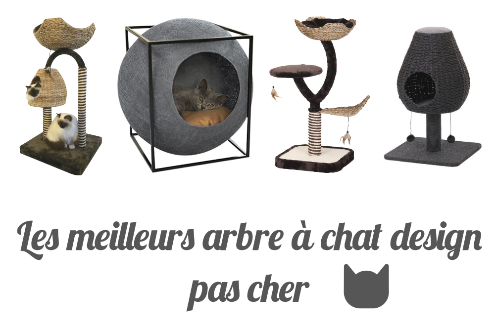 Les meilleurs arbre à chat design pas cher