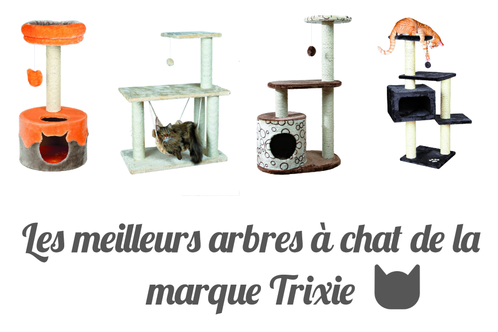 Les meilleurs arbres à chat de la marque Trixie