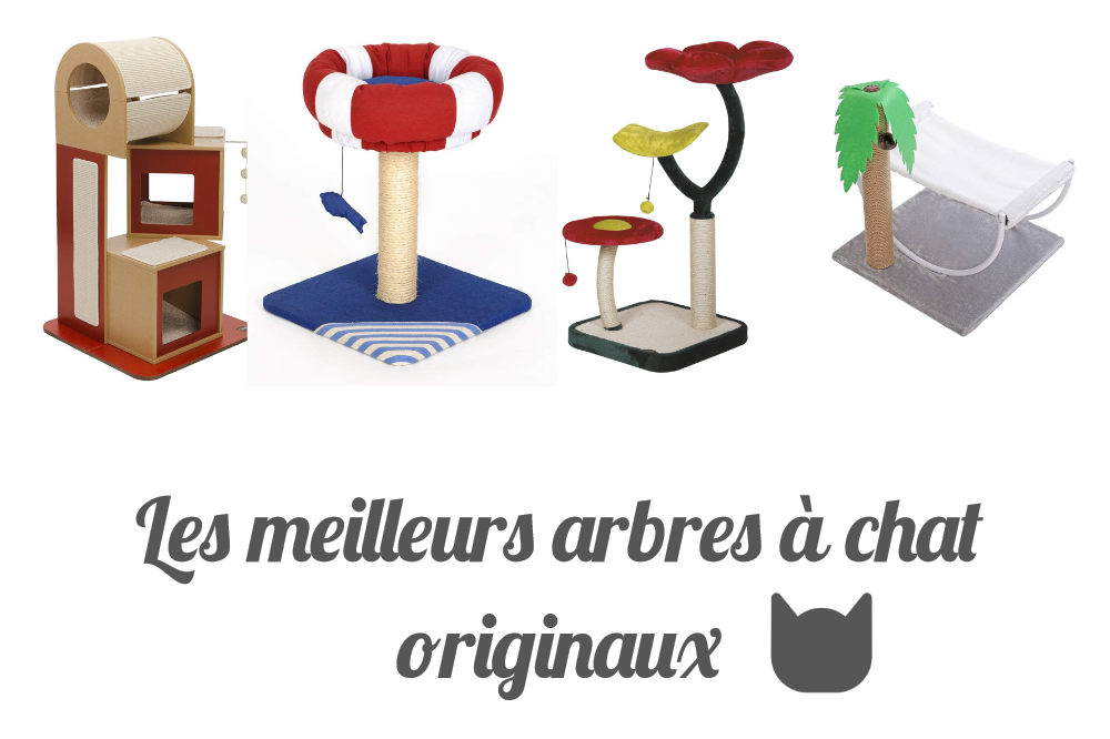 Les meilleurs arbres à chat originaux
