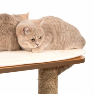 Arbre à chat haute Noyer