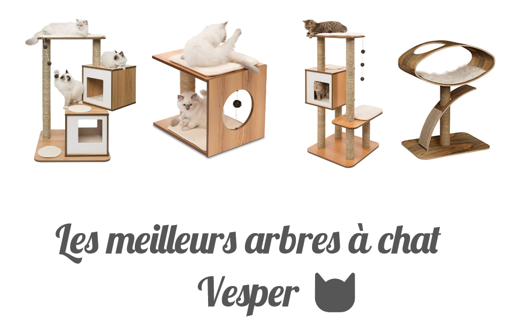 Les meilleurs arbres à chat Vesper