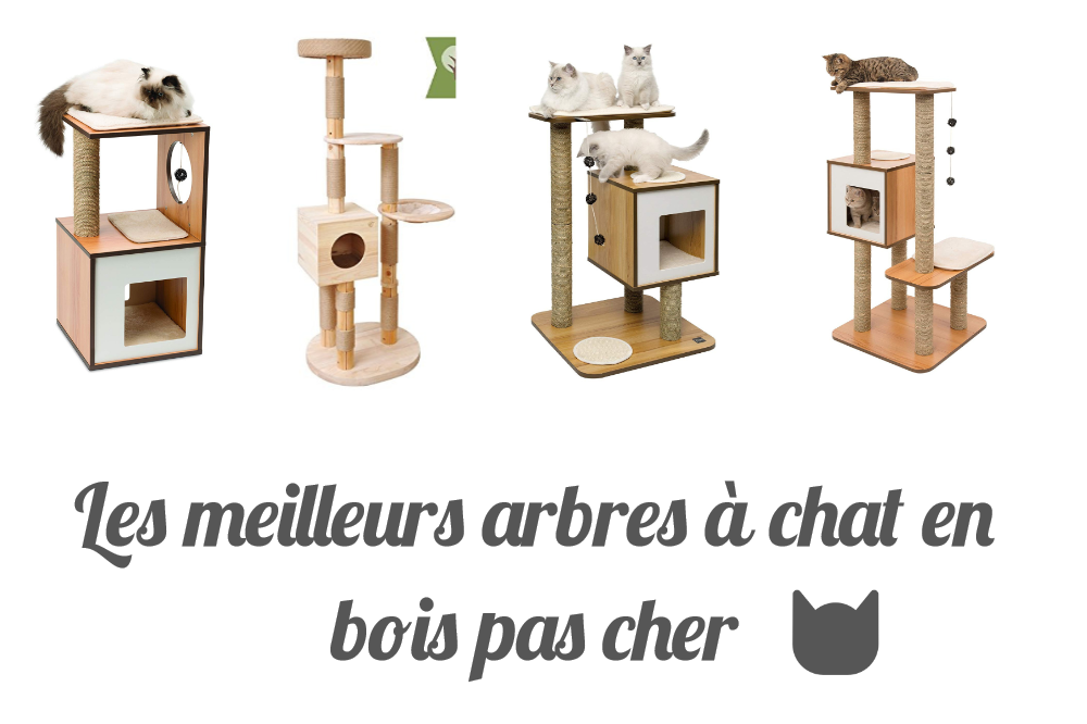 Les meilleurs arbres à chat en bois pas cher