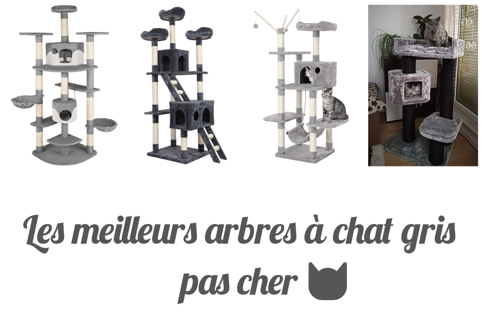 Les meilleurs arbres à chat gris pas cher