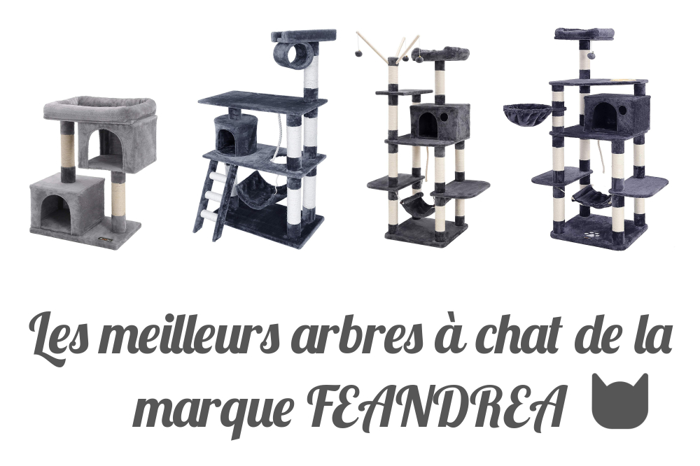 Les meilleurs abres à chat de la marque FEANDREA