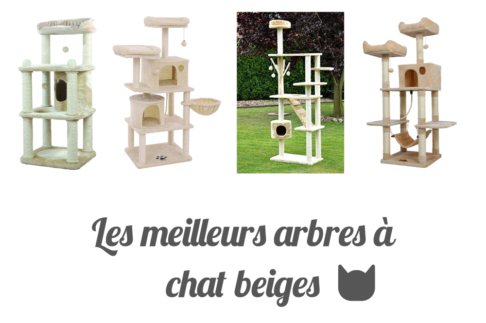Les meilleurs arbres à chat beiges