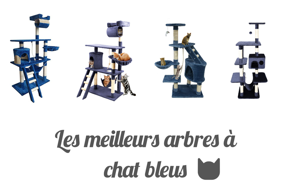 Les meilleurs arbres à chat bleus