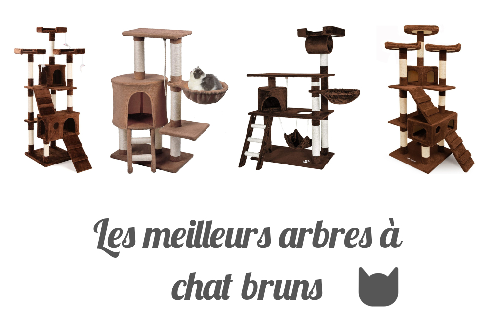Les meilleurs arbres à chat bruns