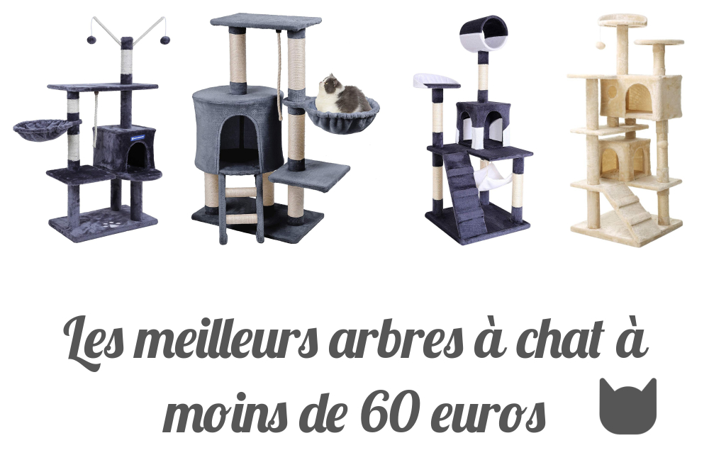 Les meilleurs arbres à chat à moins de 60 euros