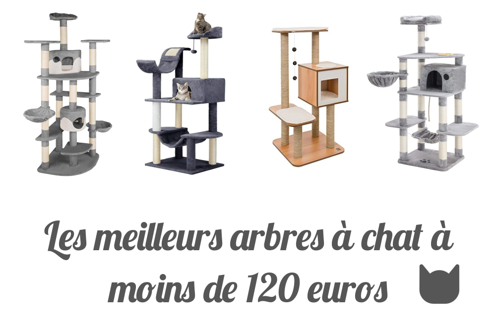Les meilleurs arbres à chat à moins de 120 euros