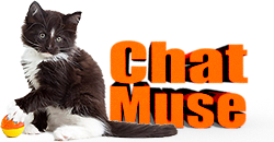 ChatMuse - Noms de chat et infos sur les félins