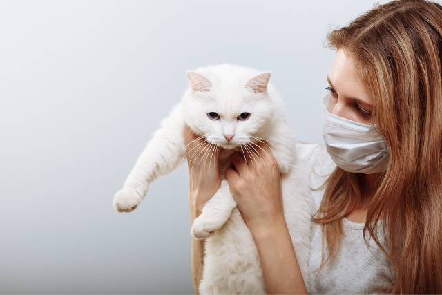 chat sterilise