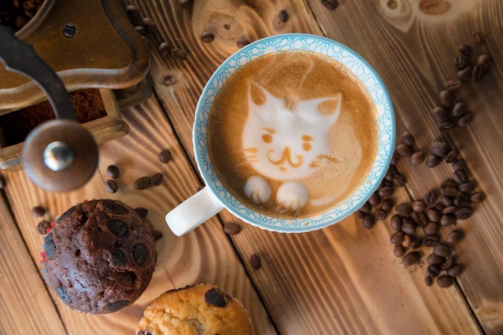 café avec dessin de tête de chat