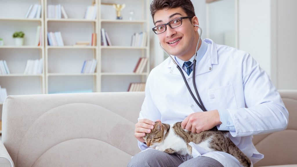 veterinaire-de-garde