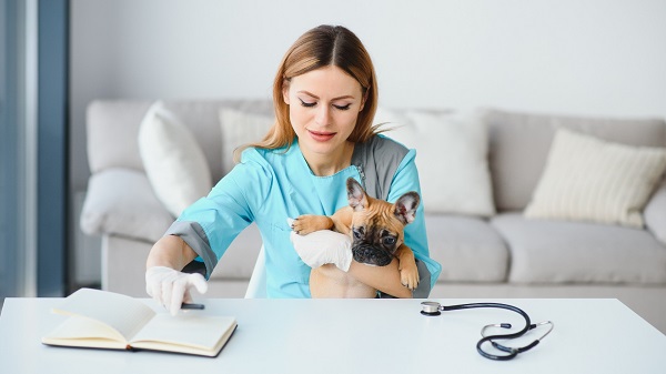 veterinaire-de-garde-faq
