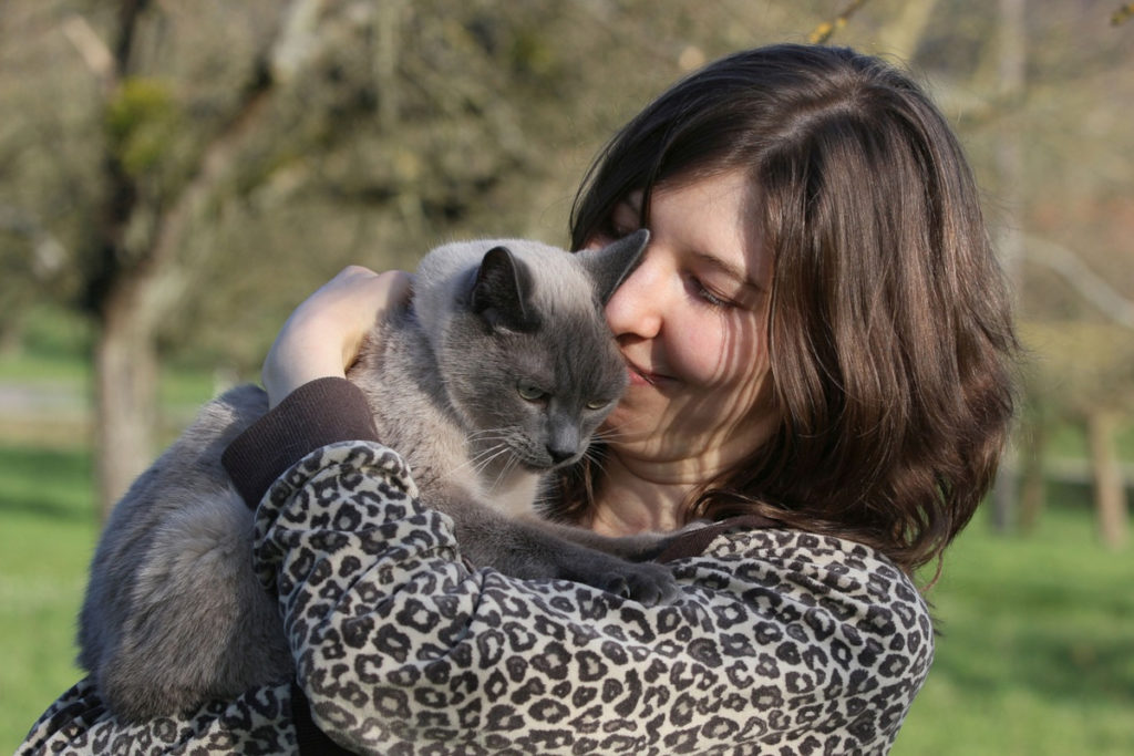 caliner son chat