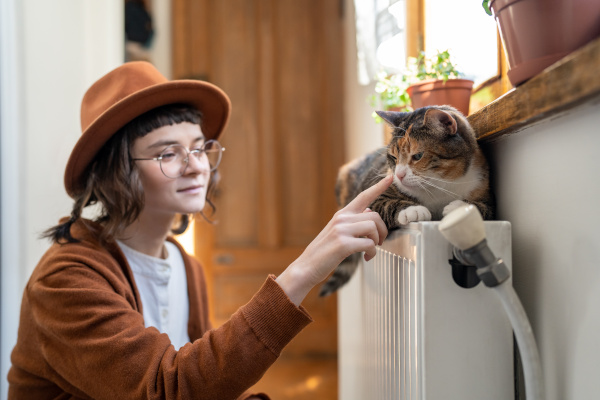 jouer avec son chat