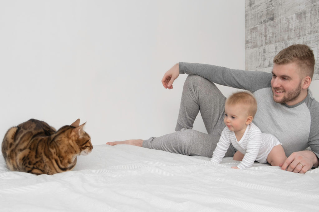 un bébé et un chat