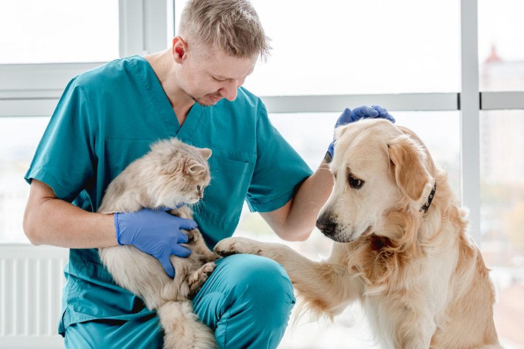 vétérinaire avec chien et chat