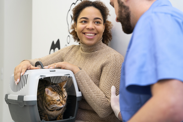 un chat chez le vétérinaire