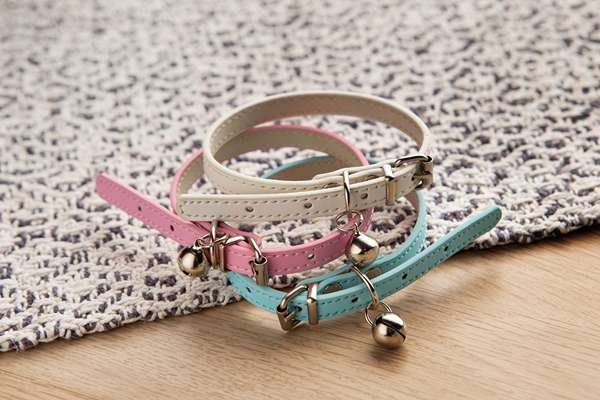vue de dessus sur les accessoires pour animaux de compagnie